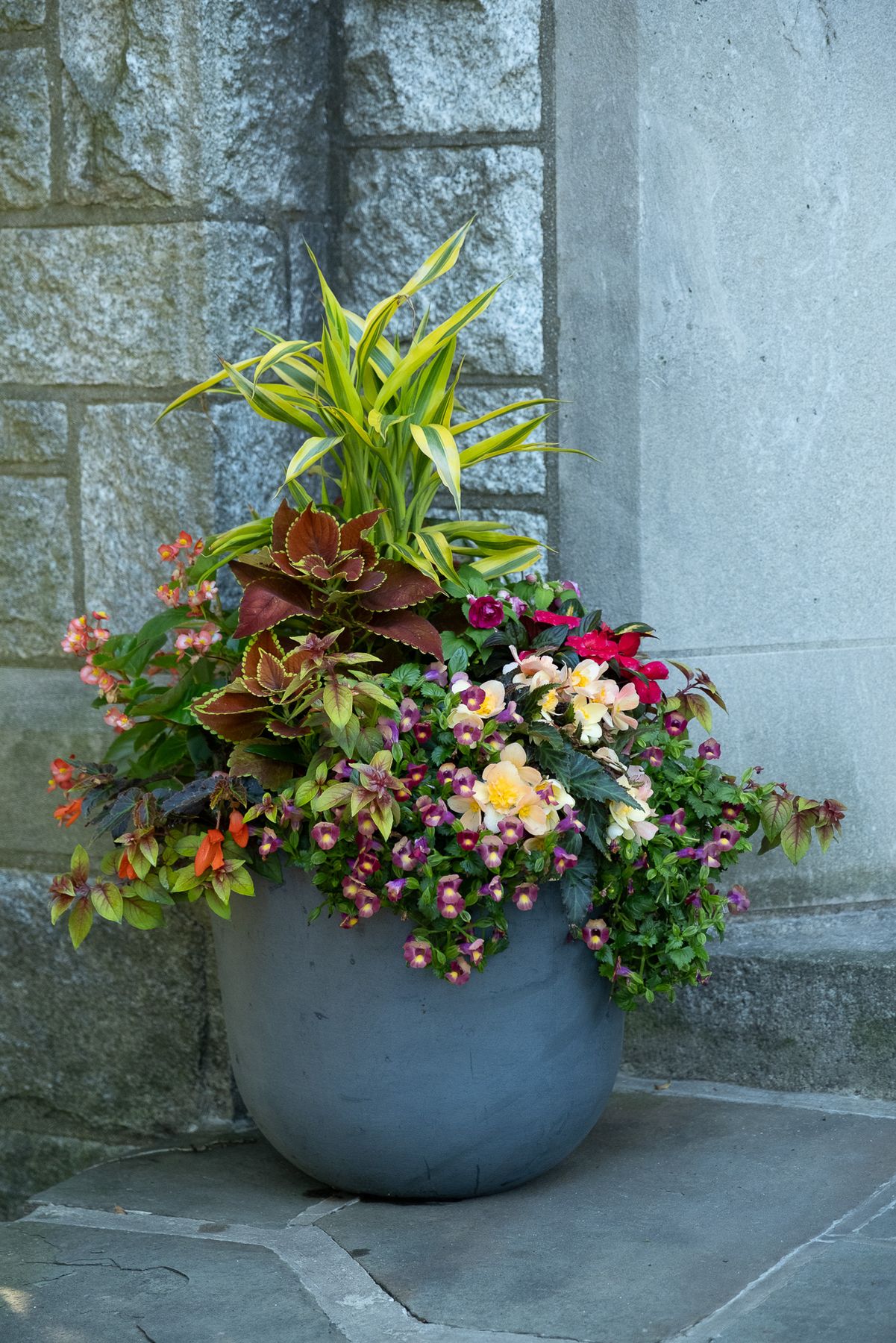 Enliven Planters summer container arrangement